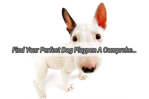 Find Your Perfect Dog Playpen A Comprehensive Guide to Buying the Best One for Your Furry Friend